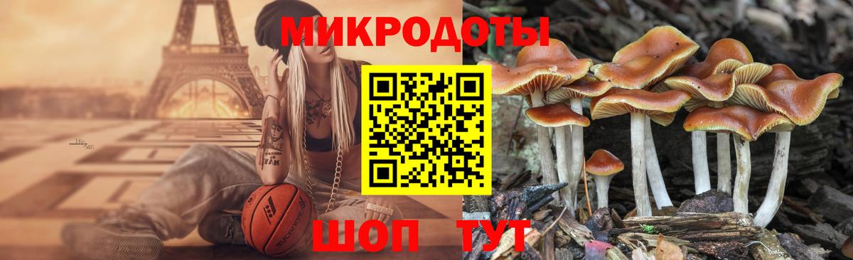 как найти закладки  Псилоцибиновые грибы мухоморы  Вход с VPN  Лесосибирск 